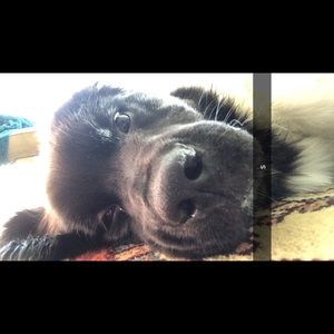 Meet your Posher, Andrew